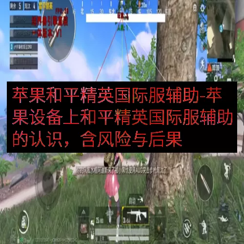 苹果和平精英国际服辅助-苹果设备上和平精英国际服辅助的认识，