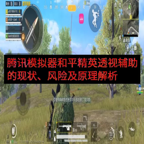 腾讯模拟器和平精英透视辅助的现状、风险及原理解析
