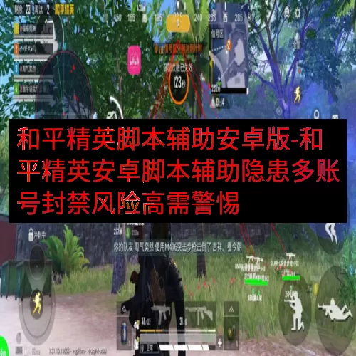 和平精英脚本辅助安卓版-和平精英安卓脚本辅助隐患多账号封禁风